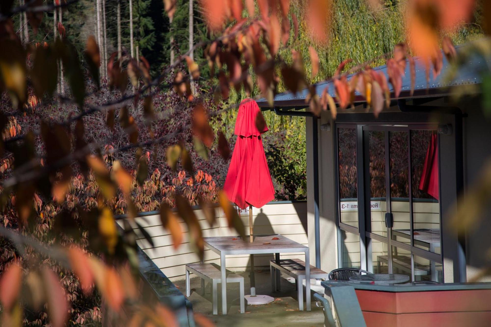 Pinewood Lodge Queenstown Eksteriør bilde