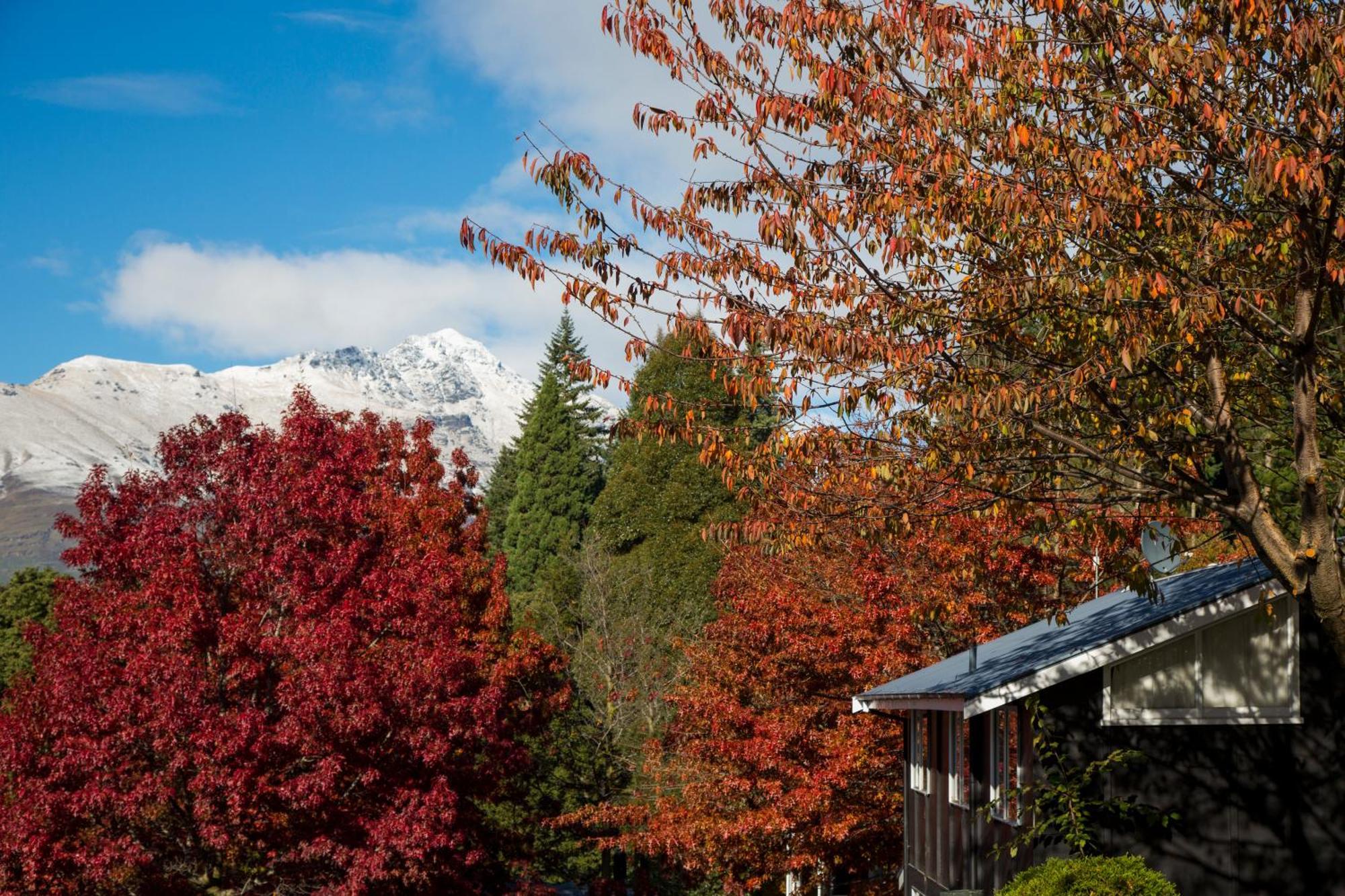 Pinewood Lodge Queenstown Eksteriør bilde